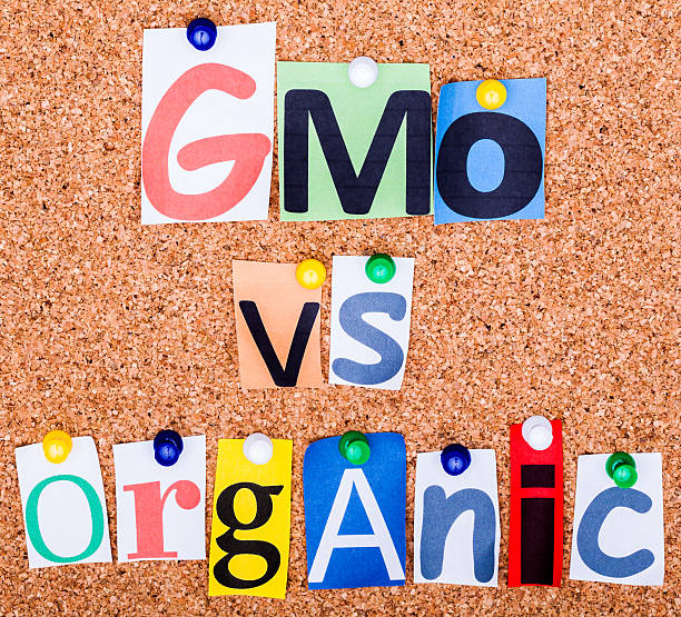 istock The phrase GMO vs organic in cut out magazine letters 467526316