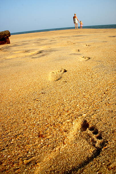 a poucos passos da areia - coarseness - fotografias e filmes do acervo