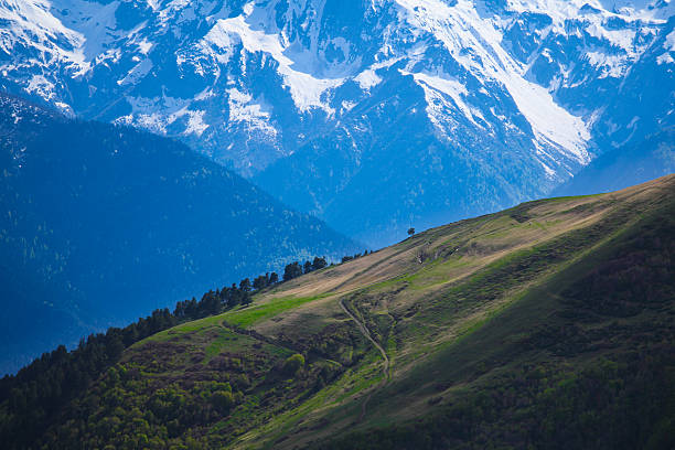 istock Isolated tree in mountains near Mestia, Svaneti, Georgia 467527766
