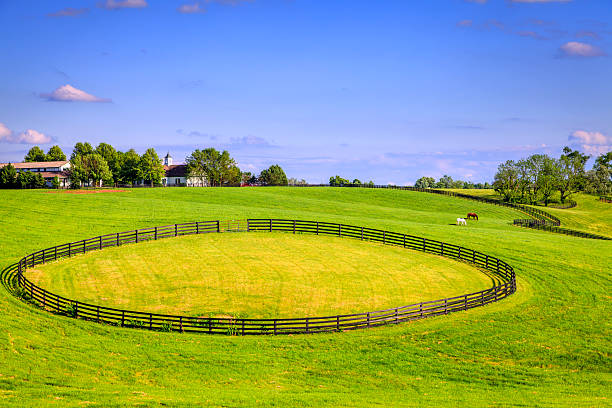 Horse farm fences