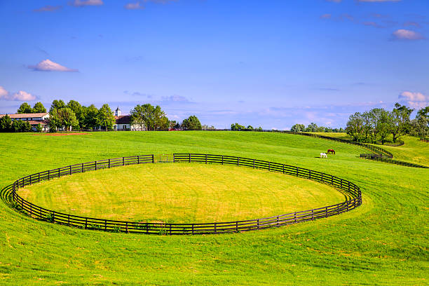 Horse farm fences Scenic image of a horse farm with black wooden fences animal pen stock pictures, royalty-free photos & images