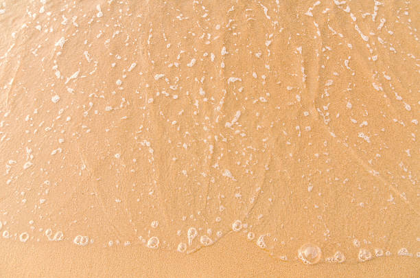 Copy space in the sand of a perfect beach, with water from the ocean running up it.