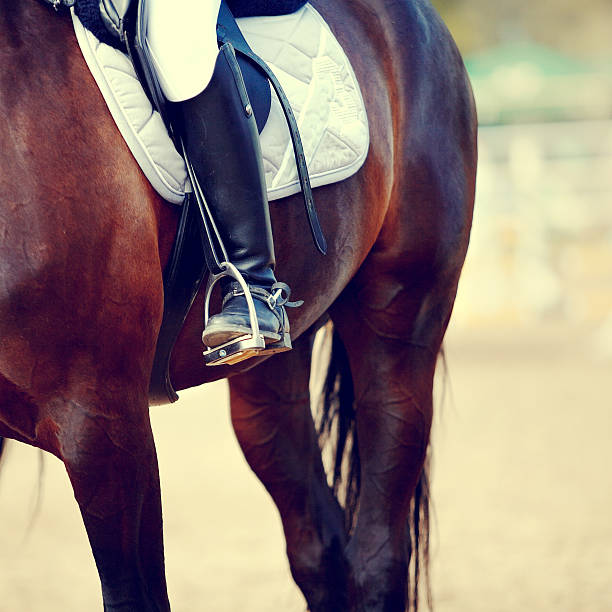 istock Foot of the athlete in a stirrup 467533108