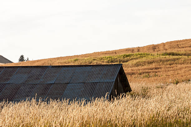 ウィイートバーン - dirt wheat washington state palouse ストックフォトと画像