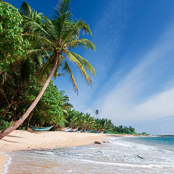 istock Paradise - tropical beach, Sri Lanka 467534707