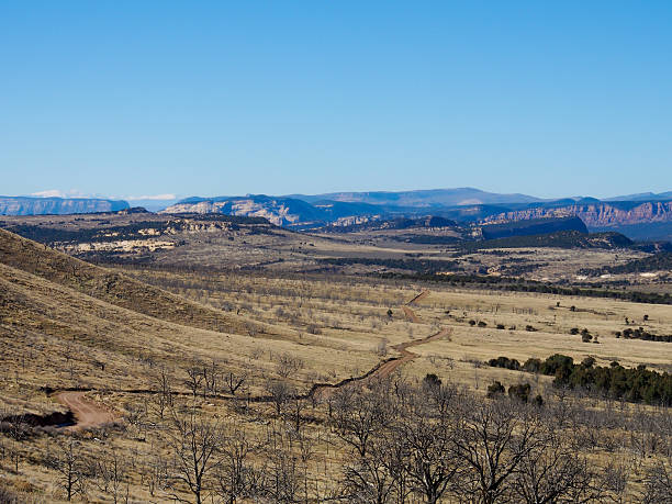 istock Dirt Road into Dinosaur National Monument 467534849