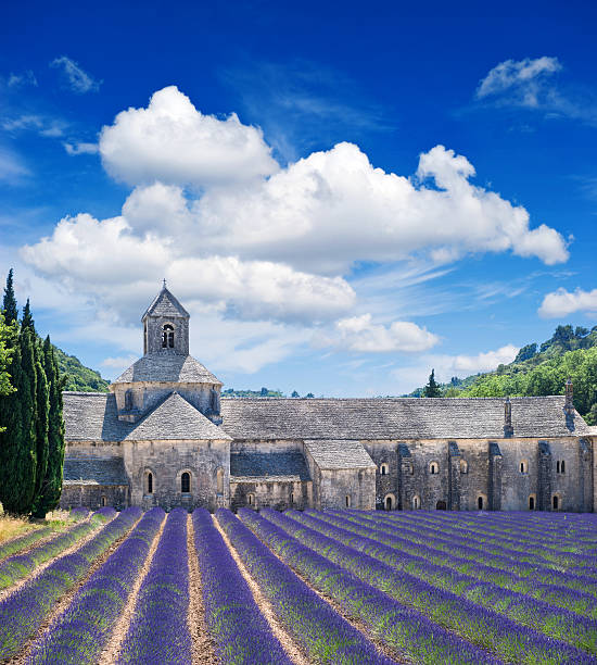 Senanque abbey with lavender field, landmark of Provence, Vaucluse, France. Beautiful landscape with medieval castle and cloudy blue sky