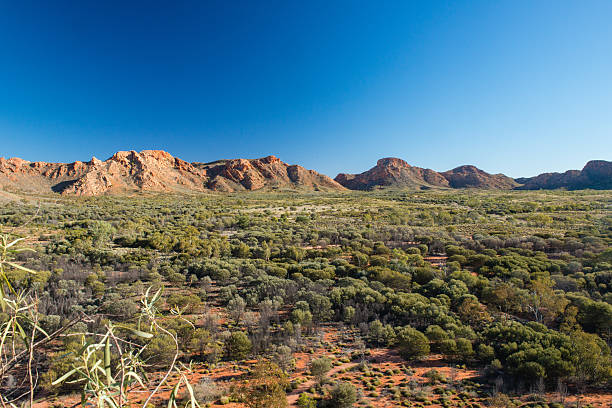 istock Gosses Bluff, Northern Territory, Australia 467544412