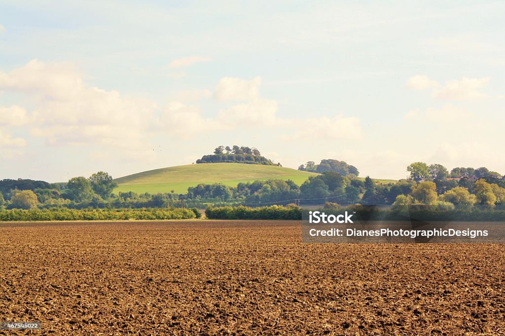 Wittenham Clumps Wittenham Clumps in Thames Valley, Oxfordshire taken across ploughed fields 2015 Stock Photo