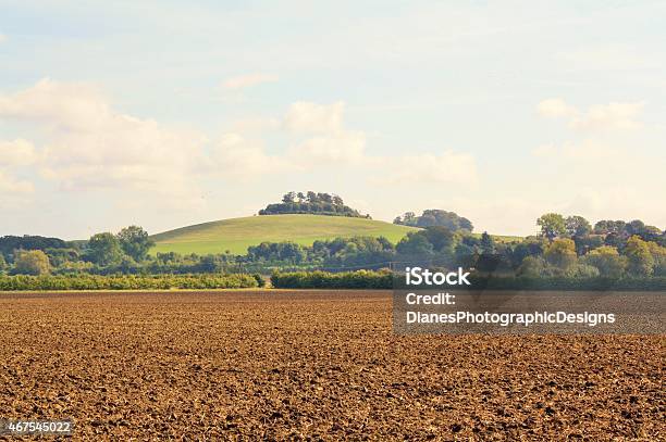 Wittenham Clumps Stock Photo - Download Image Now - 2015, Agricultural Field, British Culture
