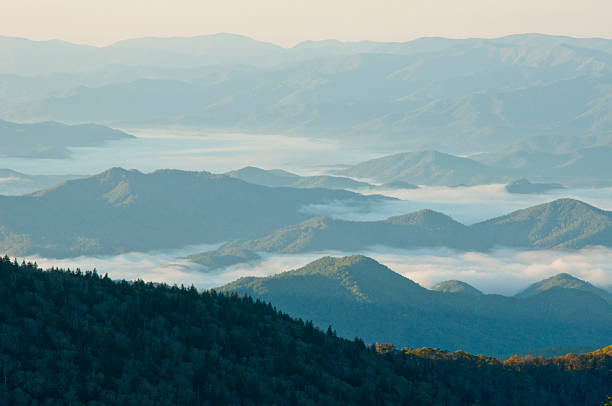 amanecer en la niebla, está ubicado en el valle smokies. - great appalachian valley fotografías e imágenes de stock