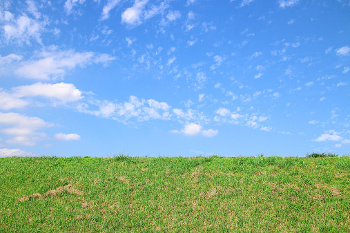Empty green landscape and clear blue sky