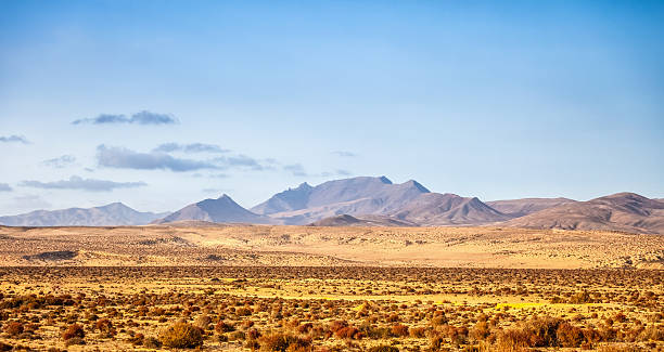 istock Fuerteventura landscape 467550910
