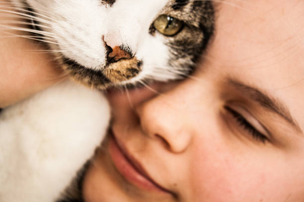 istock Girl With Cat 467551340