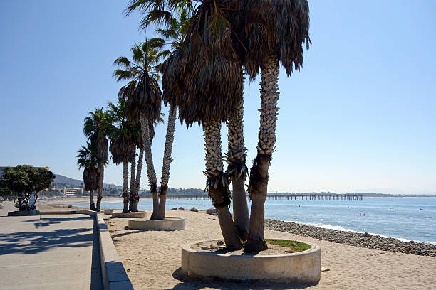 istock Central Ventura Beach Promenade 467554278