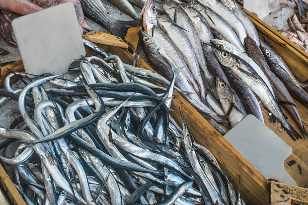 istock Fish on ice in the market 467555012