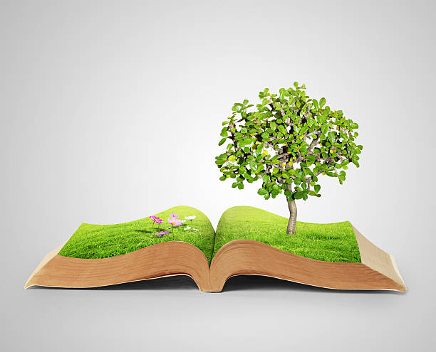 istock book of fantasy stories 467555420