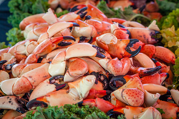 istock Pile of Florida Stone Crab Claws 467562242