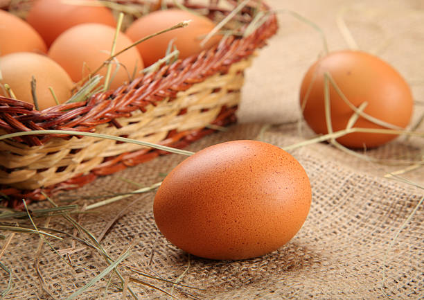 eggs stock photo