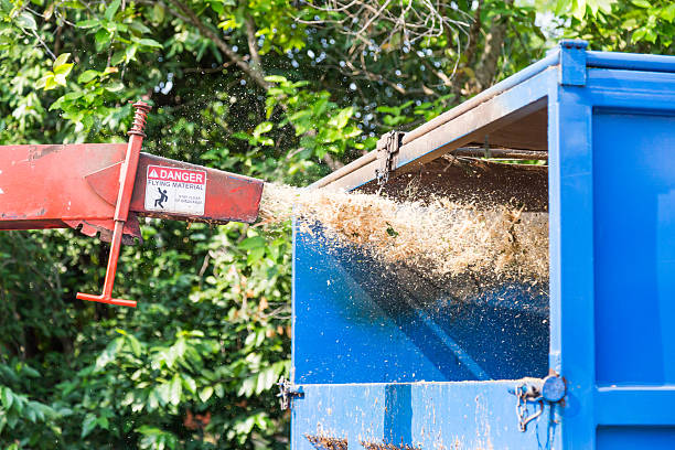 broyeur de branches machine évacuer déchiqueté bois dans un camion - broyeur de branches photos et images de collection