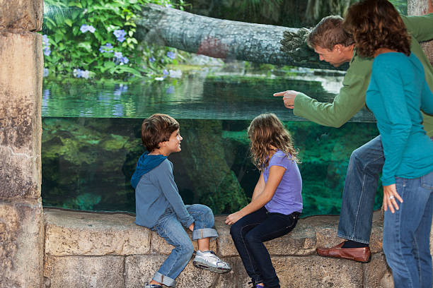 istock Family at the zoo 467565151