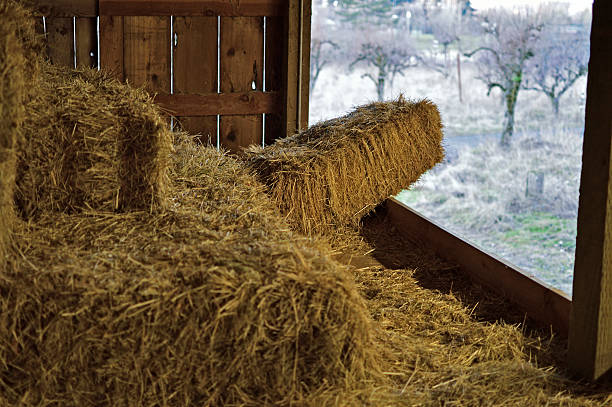 istock Interior of old barn with straw bales 467565721