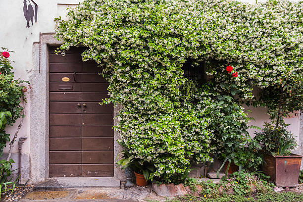 milão (itália): portas casa na área de navigli - river adda - fotografias e filmes do acervo