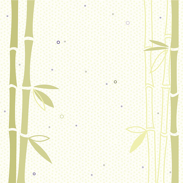 대나무 벡터 배경기술 - bamboo shoot leaf bamboo green stock illustrations