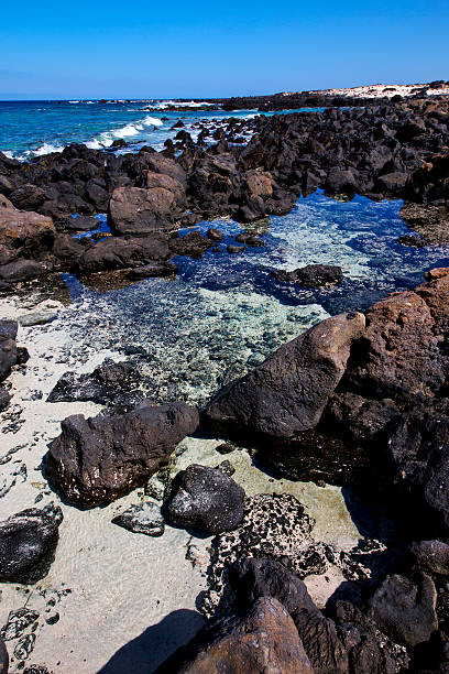 istock sky light  beach water  in lanzarote  isle foam rock spain 467571857