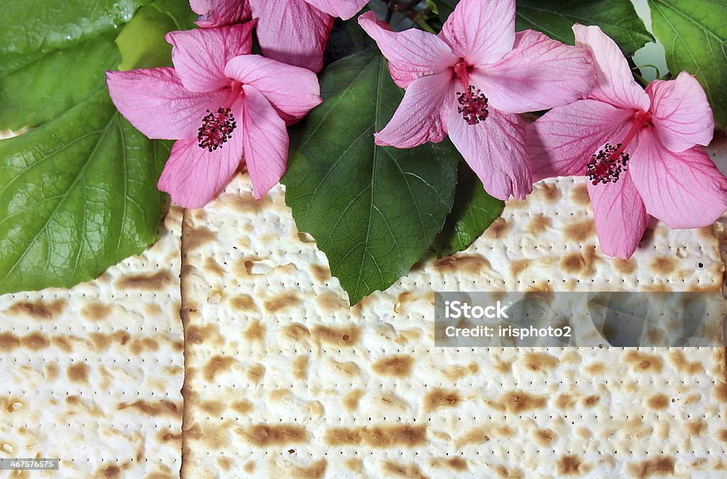 spring holiday of Passover spring holiday of Passover and its attributes, matzo Passover Stock Photo