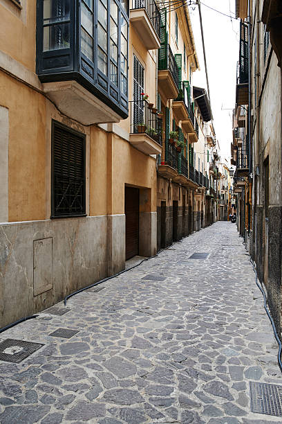 istock Narrow cobble street 467580095