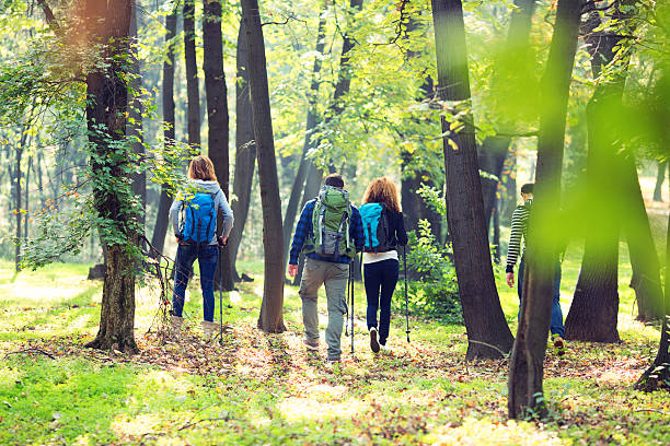 istock Cheerful Friends Hike Together in Forest. 467582549