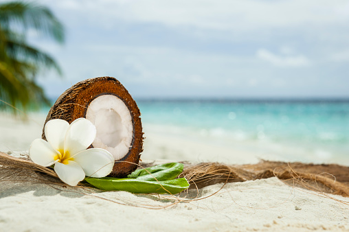 Fresh Coconunt cut in halves with flower and leaves in the sand.