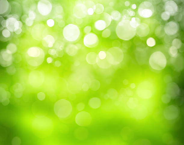 istock Sunny abstract green nature background 467588799