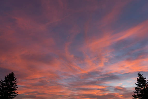 istock Sunrise with a fir 467589311