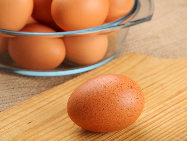 egg stock photo