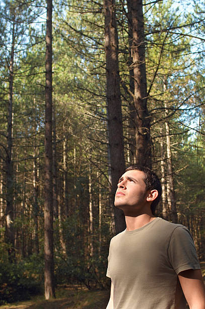 istock Worried Man Looking Up In Woods 467593137