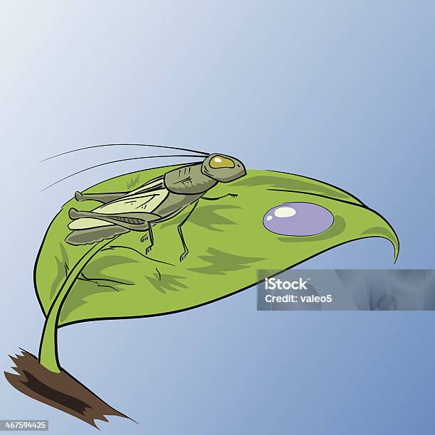 Кузнечик — стоковая векторная графика и другие изображения на тему Сверчок - насекомое - Сверчок - насекомое, Насекомое, Пение птиц