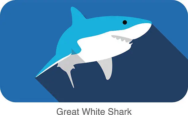 Vector illustration of Great white shark swimming flat icon design