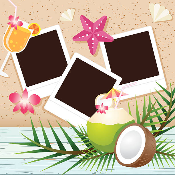 illustrations, cliparts, dessins animés et icônes de noix de coco, de fruits et d'objets de film instantané arrière-plan - coconut orchid flower hawaii islands