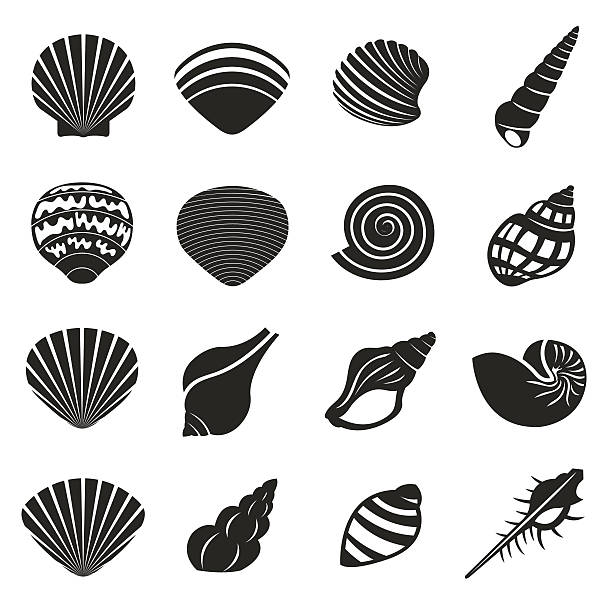 illustrations, cliparts, dessins animés et icônes de sea shell écran mono icônes set - vacations nature shell snail