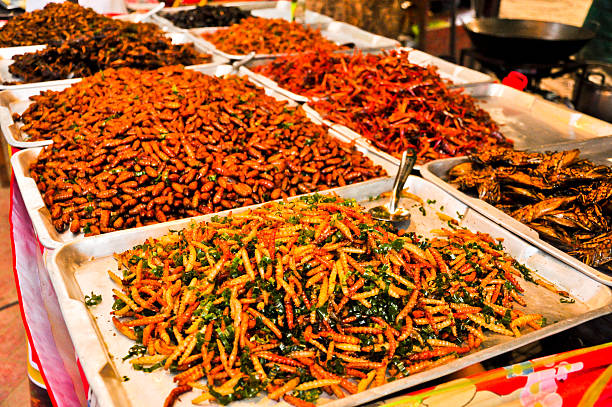 istock Fried insects. Protein rich food at Asia 467595822