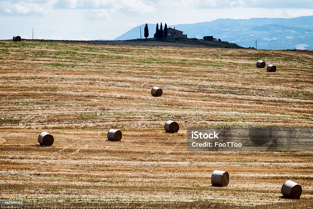 tuscany haybales at a field - tuscany - italy - photo 2015 Stock Photo