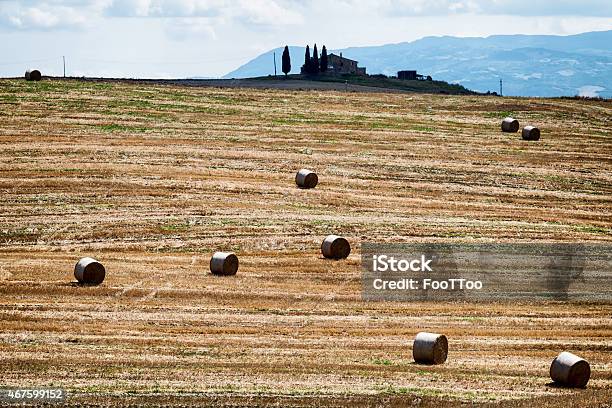 Tuscany Stock Photo - Download Image Now - 2015, Agricultural Field, Agriculture