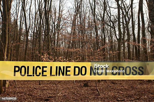 Police Line Do Not Cross Wood Forest In Winter Stock Photo - Download Image Now - Crime Scene, Forest, Woodland