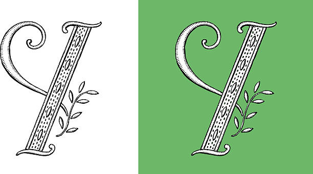 Letter Y, Typo, Alphabet, Illumination, Ornament, Manuscript, Retro,monogram, Floral vector art illustration