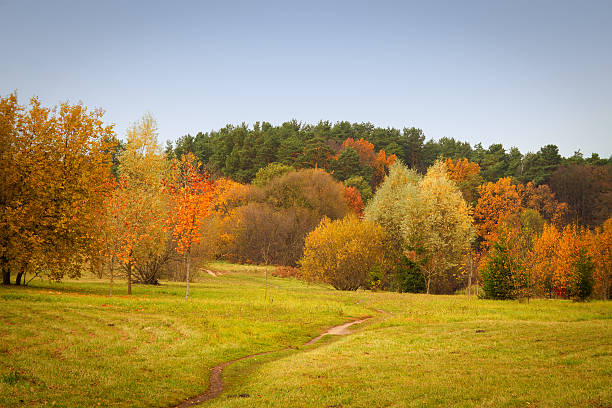 istock golden autumn on the lake. 467604842