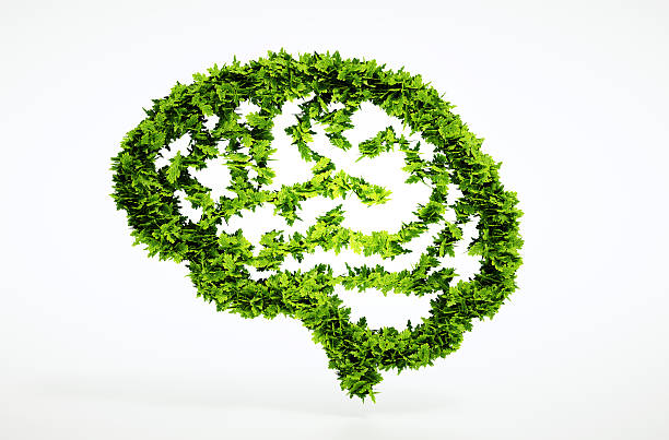 Eco nature intelligence concept Eco nature intelligence concept think green stock pictures, royalty-free photos & images