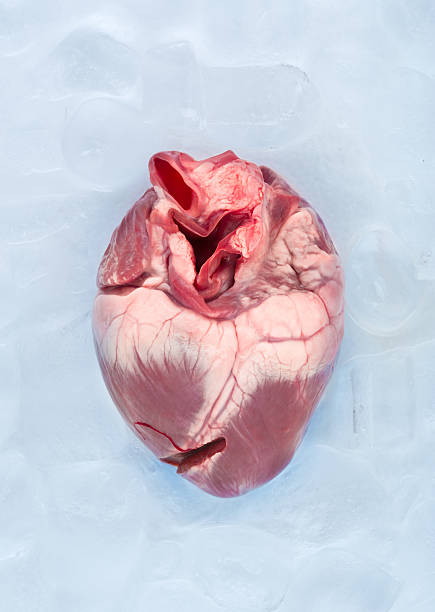 Frozen heart stock photo