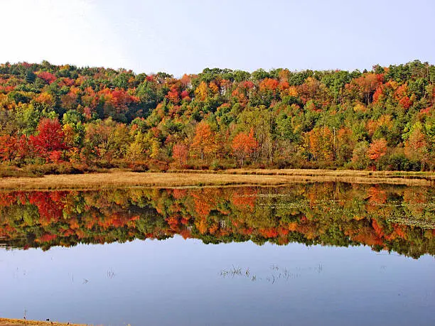 Photo of Tranquil lake in the fall